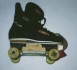 assembled skate